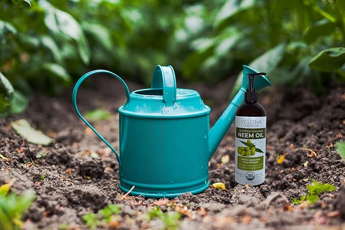 velona Neem Oil USDA Certified Organic - 64 Fl Oz | 100% Pure and Natural Carrier Oil | Virgin, Unrefined, Cold Pressed | Hair, Body and Skin Care | Use Today - Enjoy Results