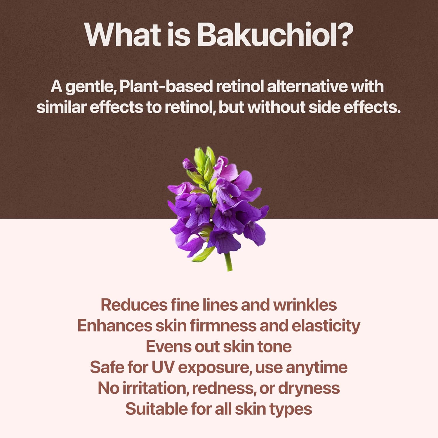 PDRN Cream with Salmon DNA, Ceramide NP, Collagen, Plant Based Bakuchiol, Moisturizing Bifida and Hyaluronic, CUSKIN, Korean Skin Care PDRN Cream, 50 ml (1.69 fl. oz.)