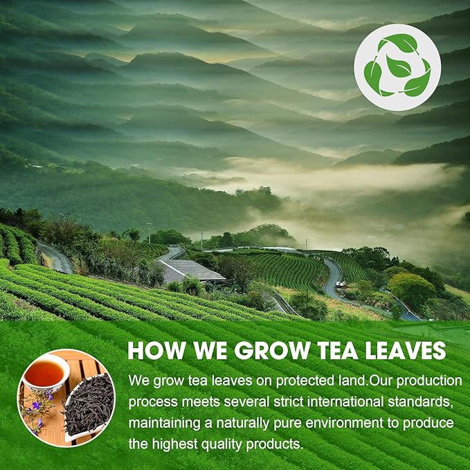 10 Pre-Filled Tea Set Cups with Premium Tea – Ready to Brew Hot or Iced, Eco-Friendly Convenient Ideal Gift Set for Women/Men, Includes Loose Leaf for Travel & Office