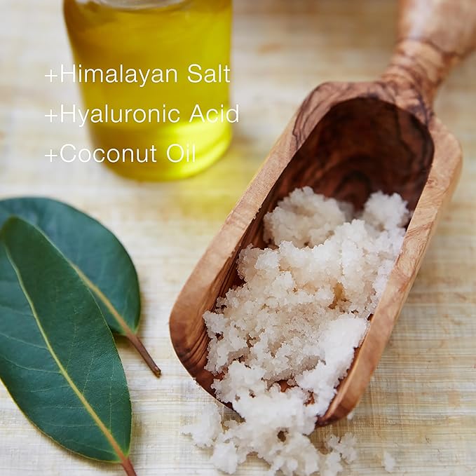 Raw Sugar Santal Body Love Bundle - Body Scrub, Body Lotion, Soap Bar, & Deodorant, Vegan and Cruelty Free, Formulated without Sulfates + Parabens