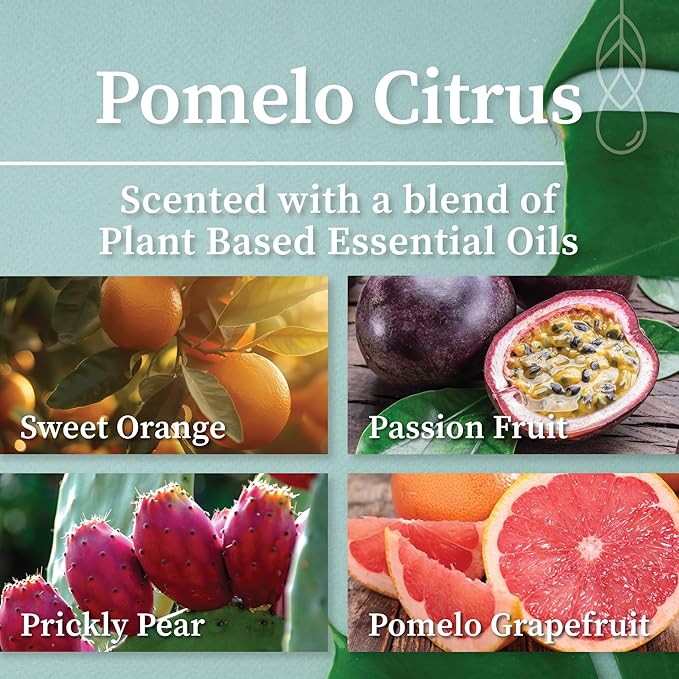 Hemlock Park Coconut Milk Bath Soak | Organic Coconut Milk, Botanicals, Dead Sea Salt, Epsom Salt, and Himalayan Pink Mineral Salt | 9.5 oz Jar (9.5 oz, Pomelo Citrus)