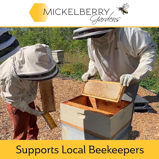 Mickelberry Gardens Love Your Lips All-Natural Organic Beeswax Lip Balm – Hydrating, Healing, and Moisturizing Chapstick for Men, Women, and Kids (2 Pack, Tinted)