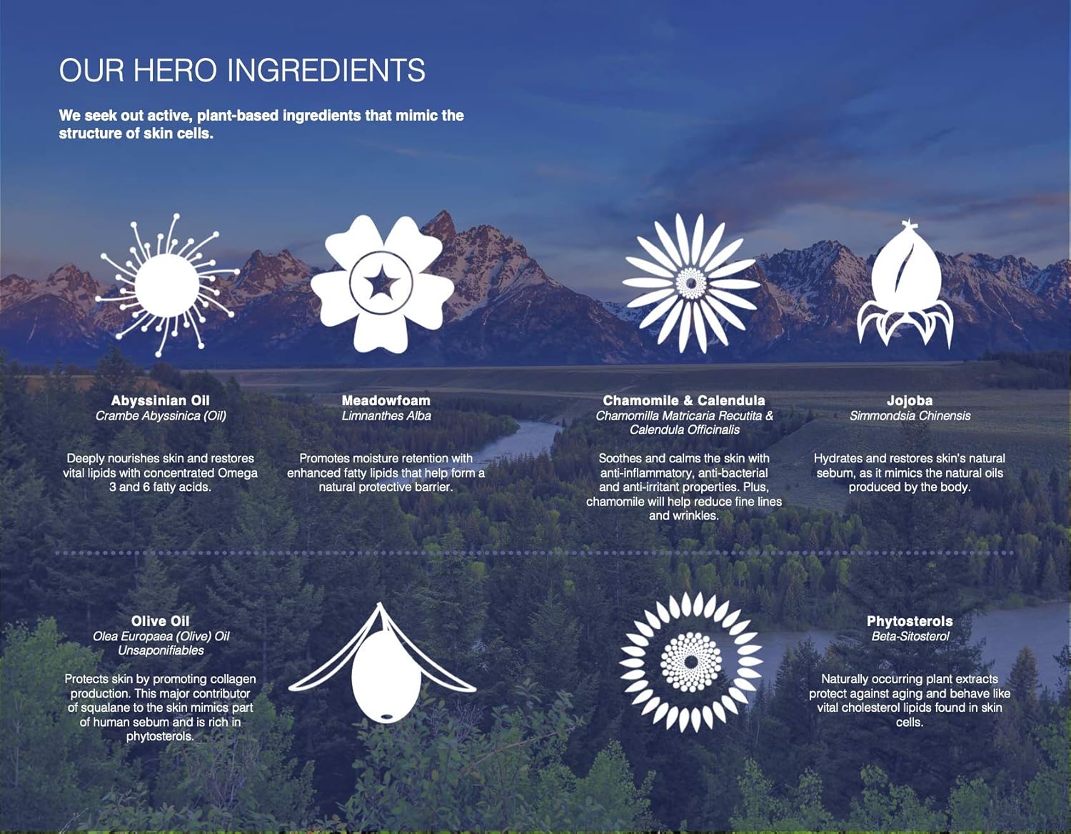 Trilipiderm Hydrating Exfoliant Cleanser – 3-in-1 Face Cleanser, Scrub & Hydrator, Fragrance-Free, Daily Facial Cleanser, Travel Size 3 Ounce Tube