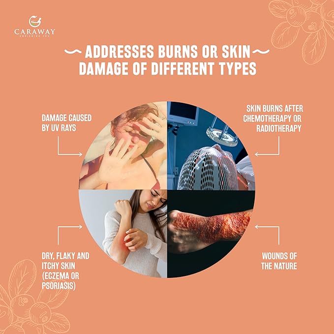 CARAWAY Sea Buckthorn Oil – Whole Berry – 1 Fl Oz | Super Critical Extract of Himalayan Sea Buckthorn Berries rich in Omega-7 Fatty Acids