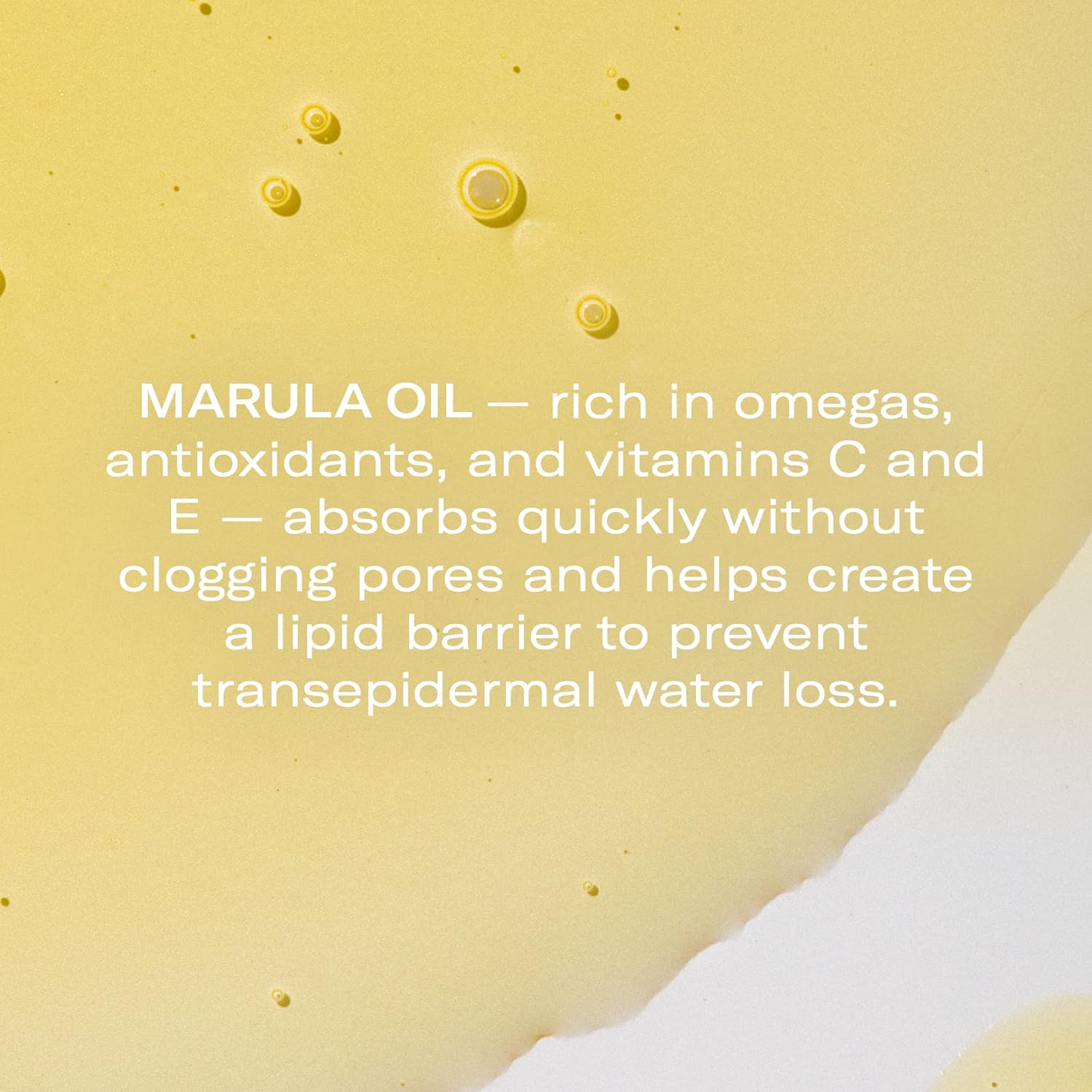 Odacité Anti Aging Serum Concentrate with Marula + Neroli, Elasticity Glow Recipe - Facial Oil for Hydration, Skin Texture & Visibly Smoother and More Supple Skin, 0.17 fl. oz