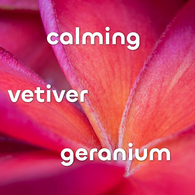 Seaweed Bath Co. Calm Body Cream, Vetiver Geranium Scent, 6 Ounce, Relaxing Hand & Body Lotion Moisturizer for Dry Skin, Sustainably Harvested Seaweed, Oat Milk, Chamomile