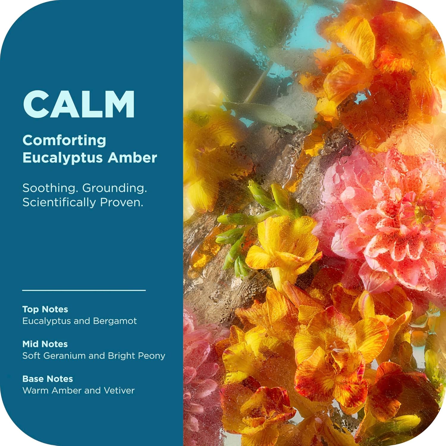 OLLY Calm Body Wash with Hyaluronic Acid, Adaptogens & Vitamin B3– Nourishing Cleanser for Skin Barrier Repair, Deep Hydration, Eucalyptus Amber Scent, 17oz