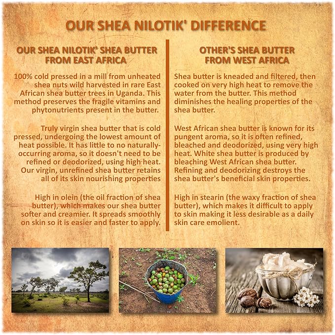 Shea Terra Organics Nilotik’ Shea Butter Ultra-Rich Lotion – Fragrance-Free | Natural Anti-Aging Daily Skin, Nails & Hair Cream to Soften Dry Skin, Reduce Wrinkles & Stretch Marks – 16 oz