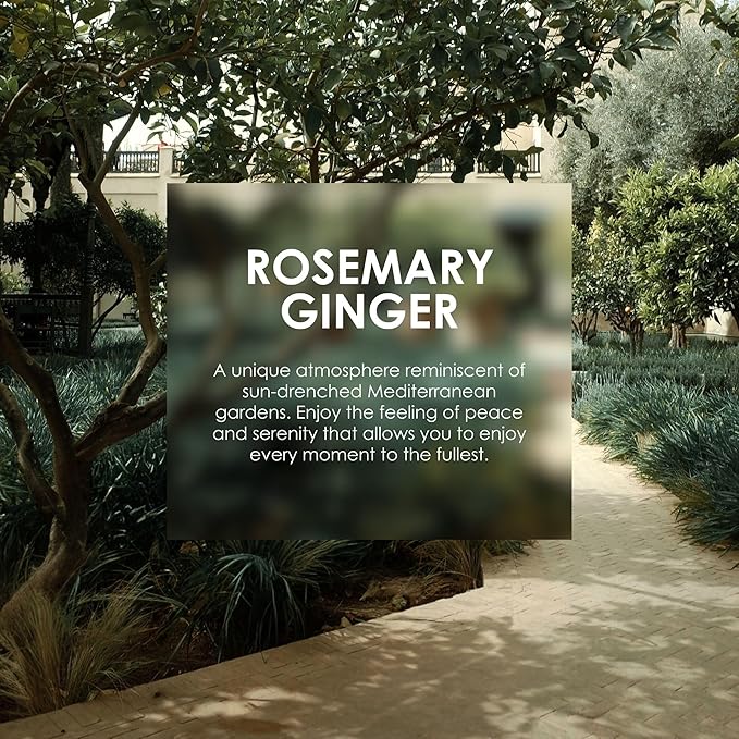 Jean & Len Heavenly Hand & Body Balm Rosemary & Ginger, for a fragrant care experience, with organic argan oil and shea butter, minimalistic bottle, without parabens & silicones, 16.91 Fl. Oz.