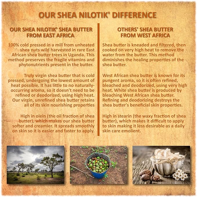 Shea Terra Organics Nilotik’ Shea Butter Ultra-Rich Lotion – Nambian Marula | Natural Daily Moisturizer High in Vitamins & Fatty Acids with Antioxidant Properties to Soften & Protect Dry Skin– 16 oz