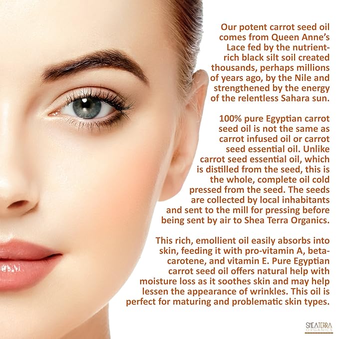 Shea Terra Egyptian Carrot Seed Cold-Pressed Extra Virgin Oil | Nutrient Rich, All Natural & Organic Oil with Anti-Aging Vitamin A, E and Beta-Carotene for Maturing and Damaged Skin Types – 2 oz