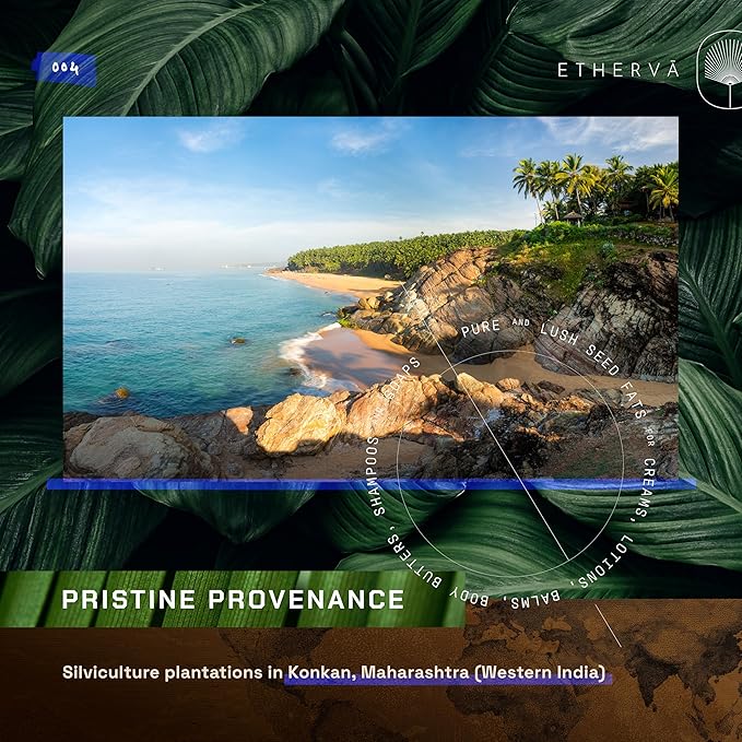 ETHERVA Tamanu Oil | No Chemicals | Natural Scent | Unrefined, Raw, Cold Pressed, Solidifies in Winter | Wild Grown Organic Indian Origin | DIY Face, Body, Scalp & Hair | Aluminium Bottle 20.9 Fl Oz