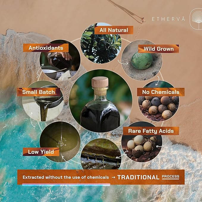 ETHERVA Tamanu Oil | No Chemicals | Natural Scent | Unrefined, Raw, Cold Pressed, Solidifies in Winter | Wild Grown Organic Indian Origin | DIY Face, Body, Scalp & Hair | Aluminium Bottle 20.9 Fl Oz