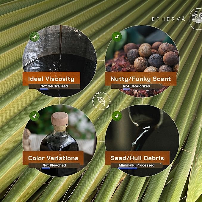 ETHERVA Tamanu Oil | No Chemicals | Natural Scent | Unrefined, Raw, Cold Pressed, Solidifies in Winter | Wild Grown Organic Indian Origin | DIY Face, Body, Scalp & Hair | PET Bottle 16.9 Fl Oz